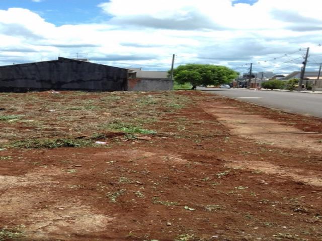 #137 - Terreno para Venda em Arapongas - PR - 3