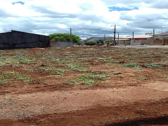 #137 - Terreno para Venda em Arapongas - PR - 1