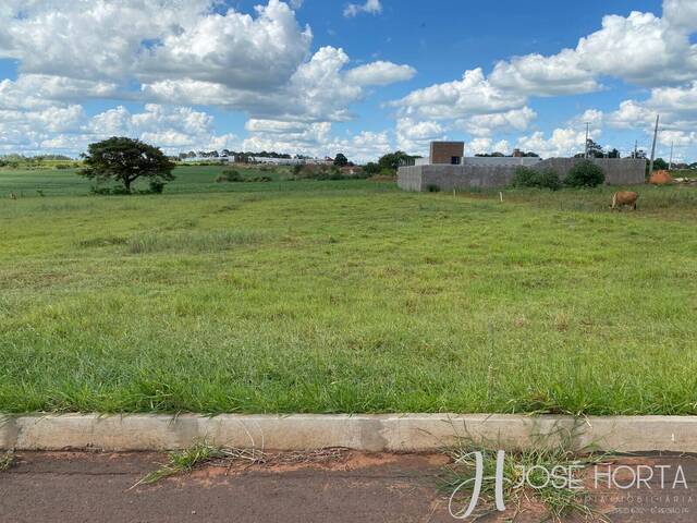 #163 - Terreno para Venda em Sabáudia - PR - 2