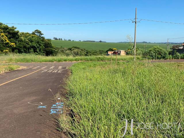 #1056 - Terreno para Venda em Sabáudia - PR - 3