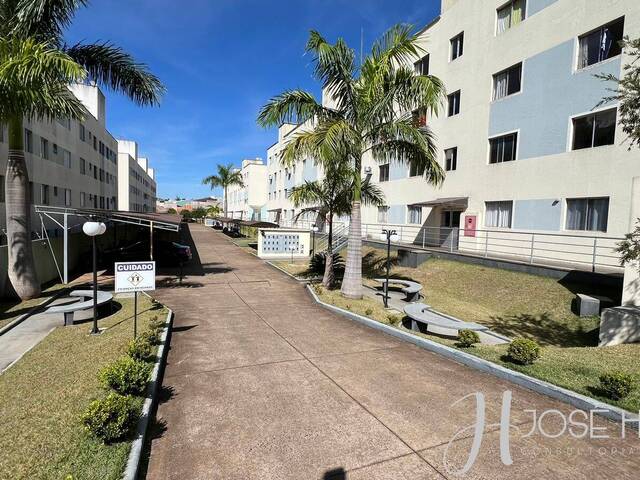 #1095 - Apartamento para Venda em Arapongas - PR - 2